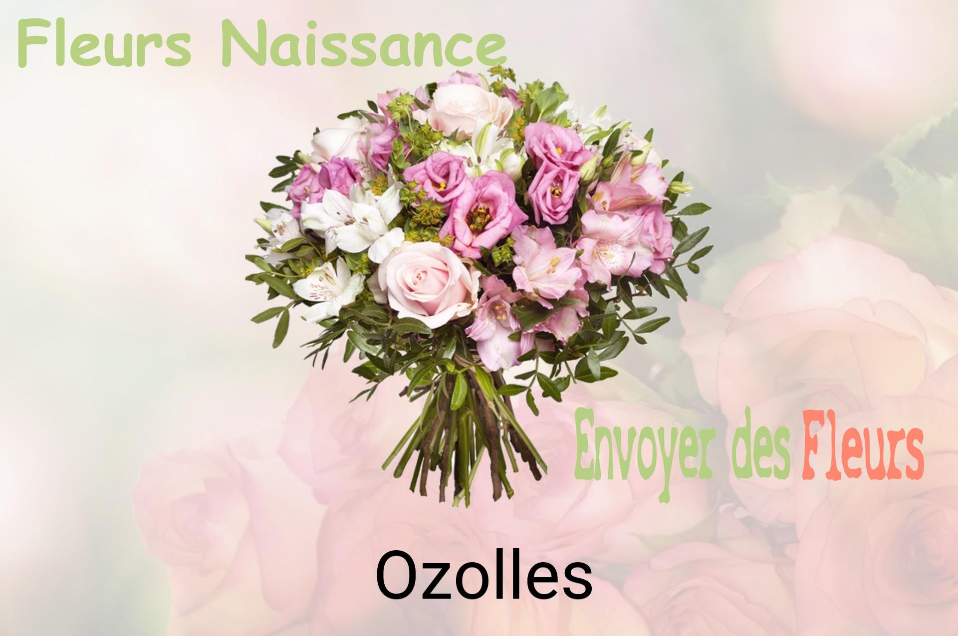 Bouquet de fleurs de naissance livré à Ozolles
